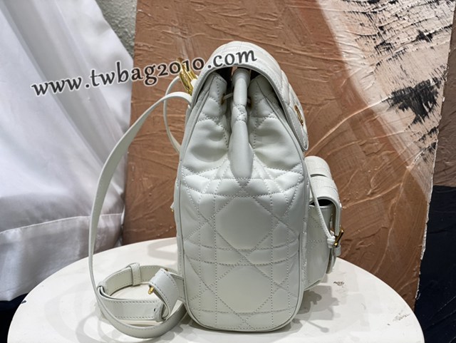 Dior专柜2025早春新款迪奥高仿原单大号Caro双肩背包女士后背包 djfk1821